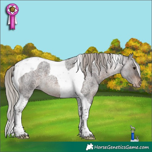 Horse Color:Silver Brown Roan Tobiano Varnish