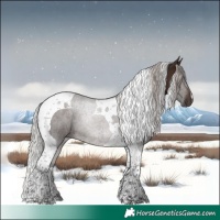 Horse Color:Silver Brown Tobiano