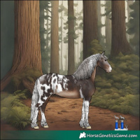 Horse Color:Powder White Silver Brown Tobiano Skewed Appaloosa 