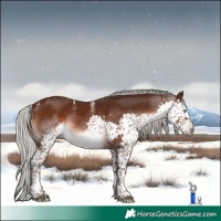 Horse Color:Powder White Silver Brown Splash Tobiano Rabicano
