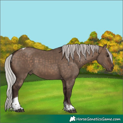 Horse Color:Silver Bay Dun Tobiano