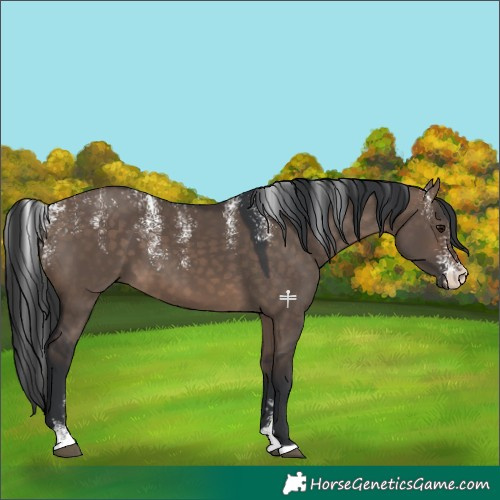 Horse Color:Powder White Brown Dun