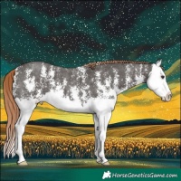 Horse Color:Liver Chestnut Sabino Splash 