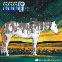 Horse Color:Liver Chestnut Sabino Splash 