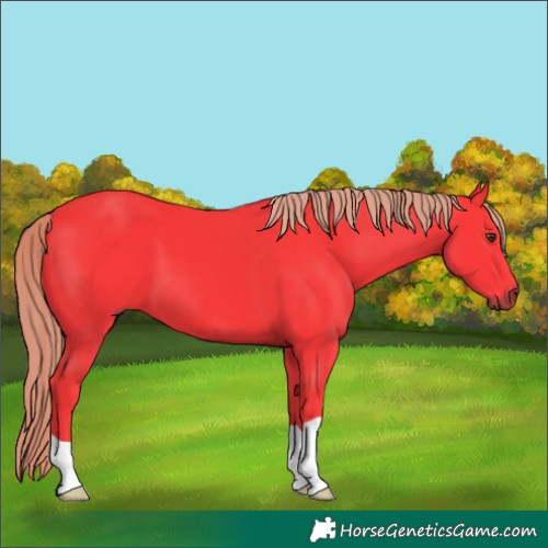 Horse Color:Watercolor Liver Chestnut