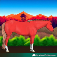 Horse Color:Watercolor Liver Chestnut 