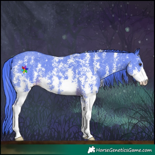 Horse Color:Watercolor Liver Chestnut Sabino 
