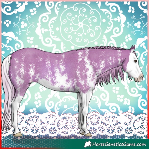 Horse Color:Watercolor Chestnut Sabino Splash 
