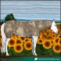 Horse Color:Gold Cream Champagne Ice Dun Splash