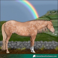 Horse Color:Gold Champagne Ice 