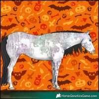 Horse Color:Sable Champagne Chinchilla Ice Splash