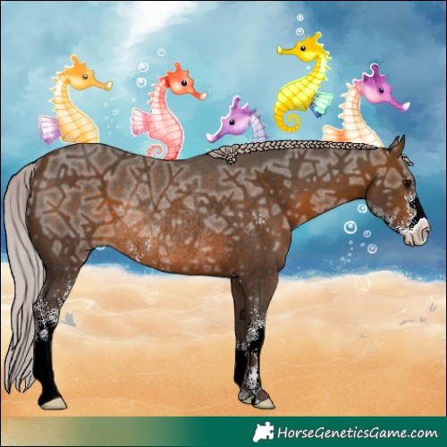 Horse Color:Silver Brown Ice Sabino Rabicano