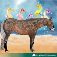 Horse Color:Silver Brown Ice Sabino Rabicano