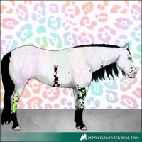 Horse Color:Gold Champagne Chinchilla Ice Sabino Rabicano