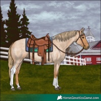 Horse Color:Red Roan Tobiano