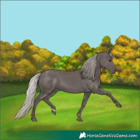 Horse Color:Silver Black 