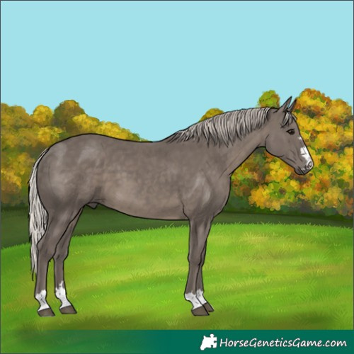 Horse Color:Silver Black 