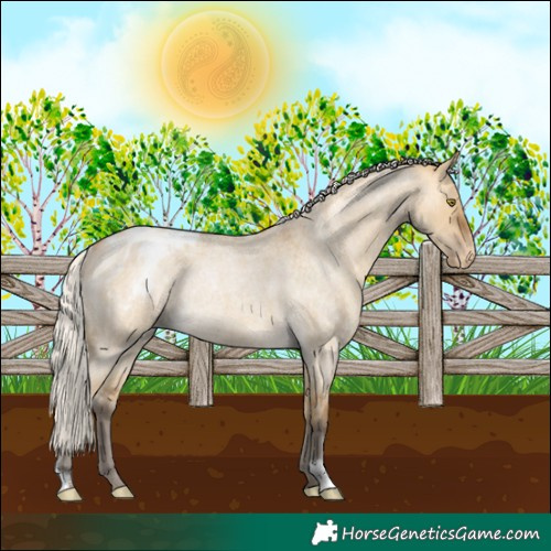 Horse Color:Silver Buckskin Roan Dun Appaloosa Rabicano 