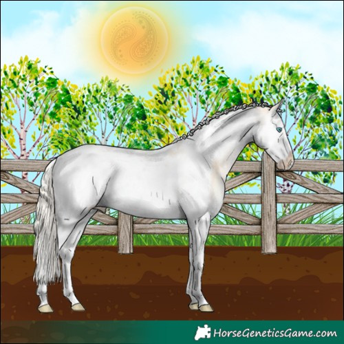 Horse Color:Palomino Pearl Dun Splash Tobiano Frame Appaloosa Rabicano