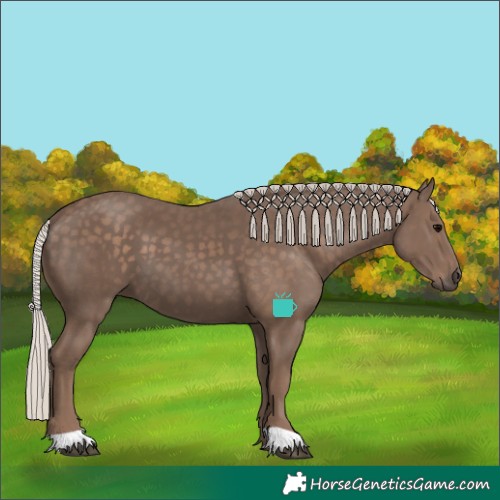 Horse Color:Silver Black 