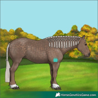 Horse Color:Silver Black 