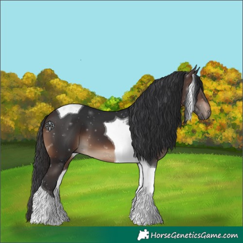 Horse Color:Brown Tobiano