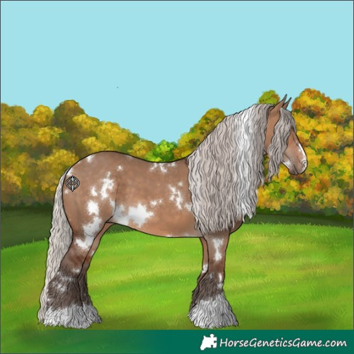 Horse Color:White Spotted Silver Brown Dun