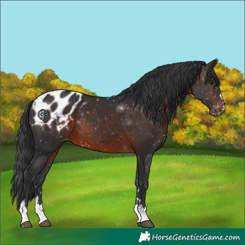 Horse Color:Brown Blanket