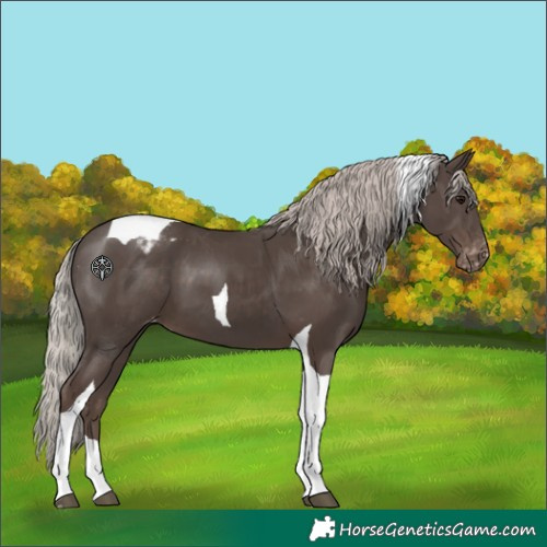 Horse Color:Silver Black Tobiano Varnish