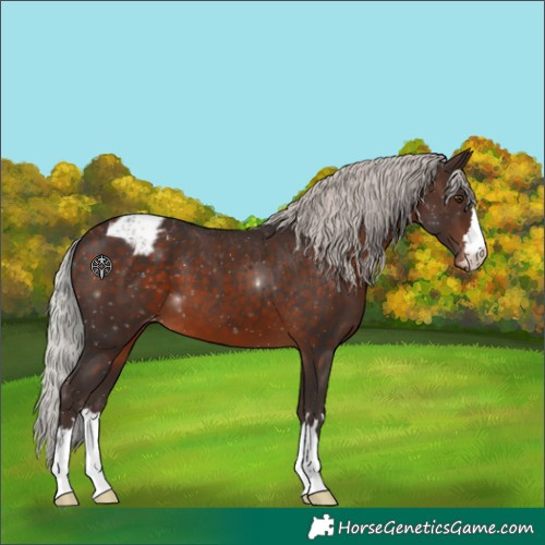 Horse Color:Silver Brown Varnish 
