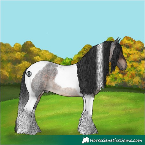Horse Color:Brown Roan Tobiano 