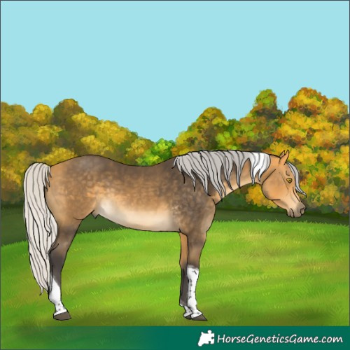 Horse Color:Silver Buckskin Tobiano 