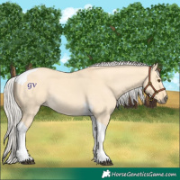 Horse Color:Silver Buckskin Dun Tobiano