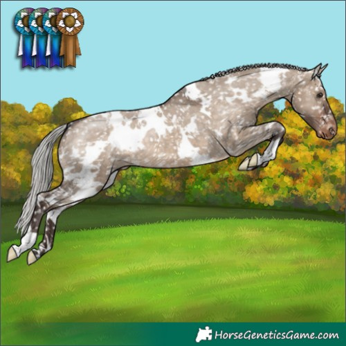 Horse Color:White Spotted Silver Brown Dun Appaloosa