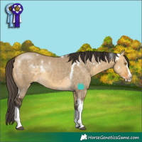 Horse Color:White Spotted Buckskin Dun Splash Tobiano Rabicano 