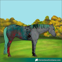 Horse Color:ERROR: UNKNOWN ANOMALY