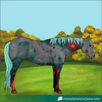 Horse Color:ERROR: UNKNOWN ANOMALY