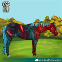Horse Color:ERROR: UNKNOWN ANOMALY