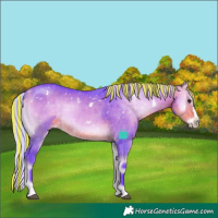 Horse Color:Painted Watercolor White Spotted Silver Buckskin Onyx Sabino Splash