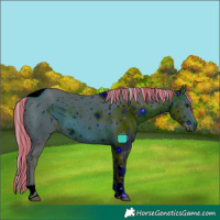Horse Color:ERROR: UNKNOWN ANOMALY