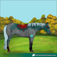 Horse Color:ERROR: UNKNOWN ANOMALY
