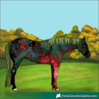 Horse Color:ERROR: UNKNOWN ANOMALY