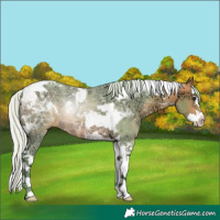 Horse Color:Platinum Watercolor Silver Bay Ice Sabino Splash Tobiano 