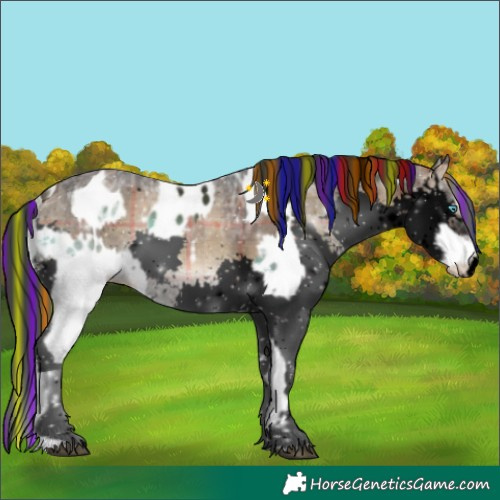 Horse Color:Painted White Spotted Brown Ice Onyx Splash Appaloosa and Gray Void Plaid White Spotted Bay Ice Onyx Splash