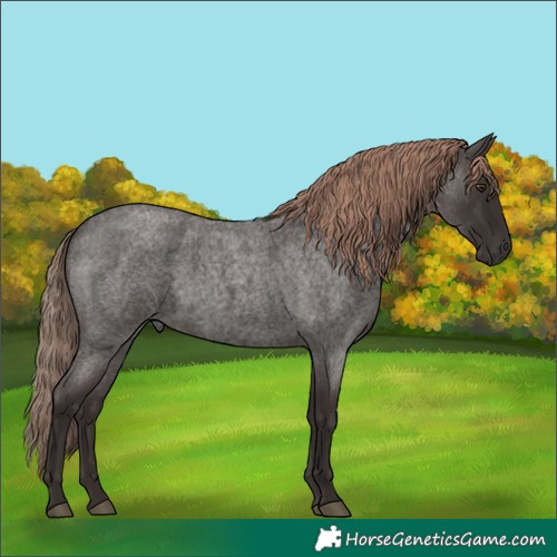 Horse Color:Liver Red Roan 