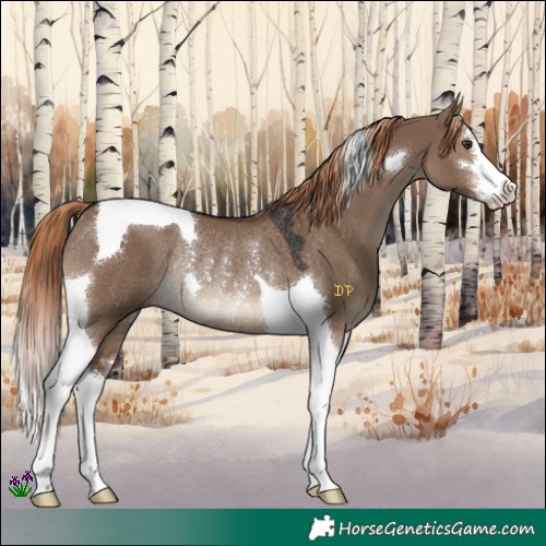 Horse Color:White Spotted Liver Red Dun Tobiano Rabicano