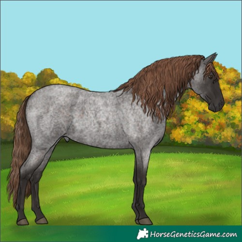 Horse Color:Liver Red Roan