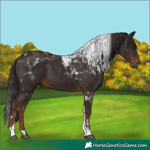Horse Color:Liver Chestnut Tobiano 