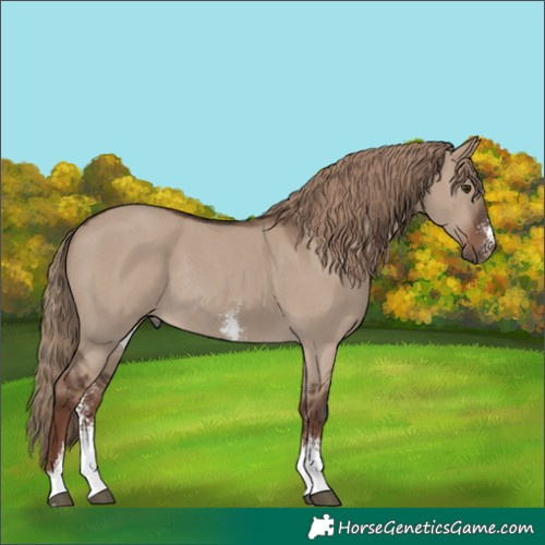 Horse Color:Liver Red Dun Sabino Rabicano 