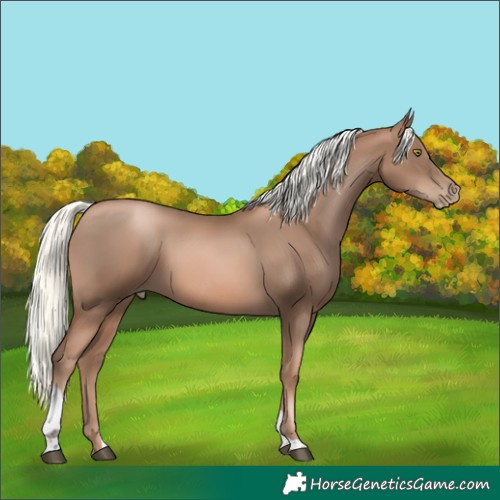 Horse Color:Liver Chestnut Pearl Mushroom Tobiano 